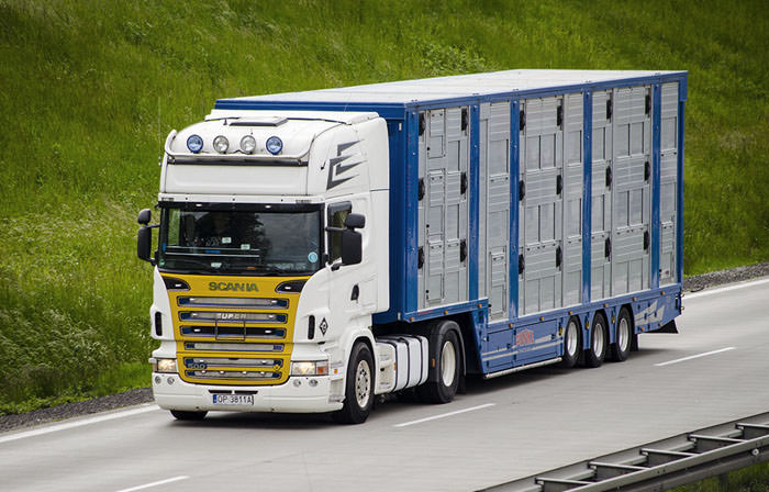 Truckload freight